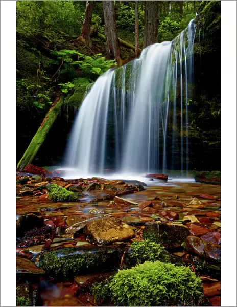 Fern Falls, Coeur d Alene National Forest, Idaho Panhandle National Forests