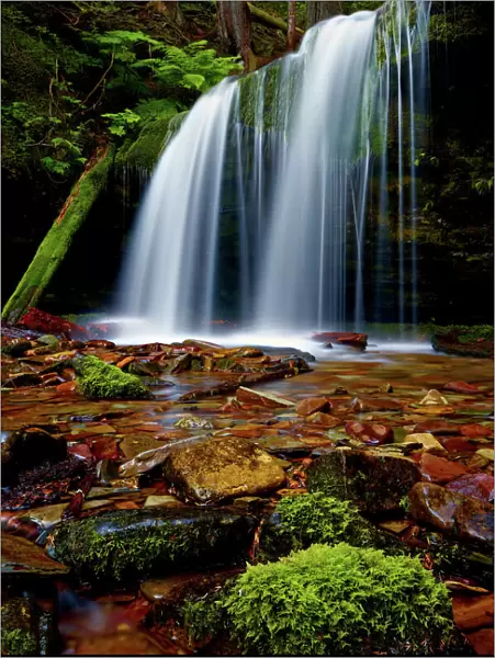 Fern Falls, Coeur d Alene National Forest, Idaho Panhandle National Forests