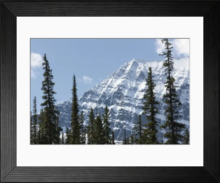 Framed Print : Trees in front of Mount Edith Cavell, Jasper National Park, UNESCO World Heritage Site Framed Print : Trees in front of Mount Edith Cavell, Jasper National Park, UNESCO World Heritage Site