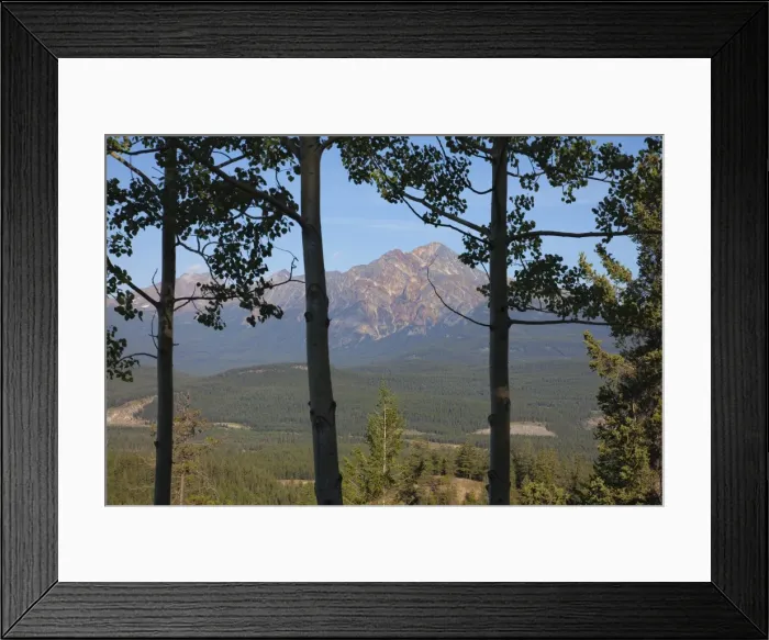 Framed Print : View of Pyramid Mountain through trees, Jasper National Park, UNESCO World Heritage Site Framed Print : View of Pyramid Mountain through trees, Jasper National Park, UNESCO World Heritage Site