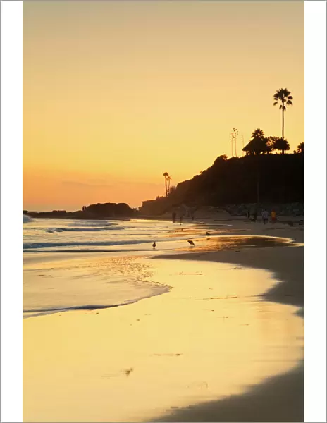 Laguna Beach, Orange County, California, United States of America, North America