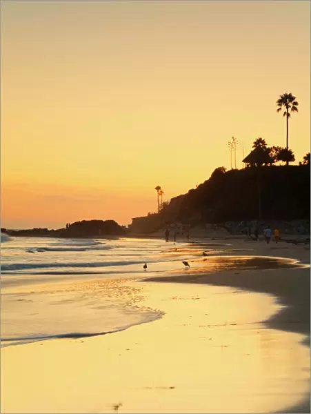 Laguna Beach, Orange County, California, United States of America, North America