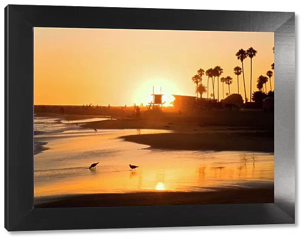 Sunset at Corona del Mar Beach, Newport Beach, Orange County, California