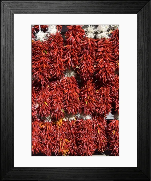 Framed Print : Chillies for sales, Santa Fe, New Mexico, United States of America, North America Framed Print : Chillies for sales, Santa Fe, New Mexico, United States of America, North America
