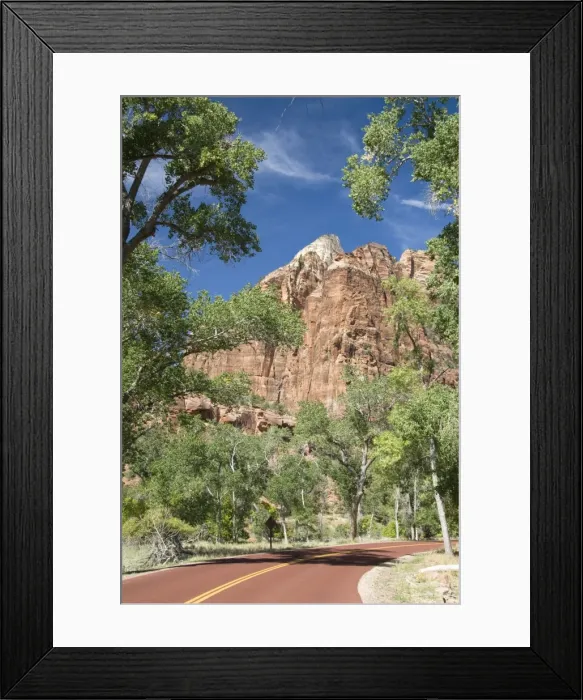 Framed Print : Zion Canyon Scenic Drive, near Zion Lodge, Zion National Park, Utah, United States of America