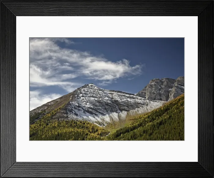 Framed Print : Fall color and fresh snow near Highwood Pass, Peter Lougheed Provincial Park Framed Print : Fall color and fresh snow near Highwood Pass, Peter Lougheed Provincial Park