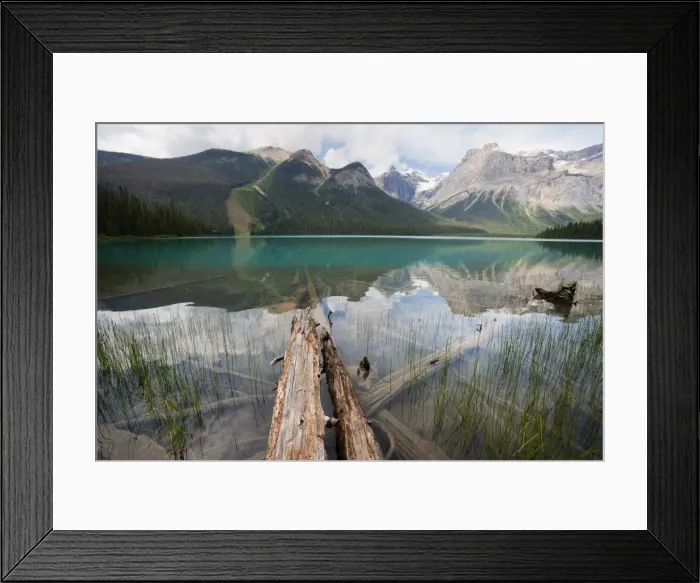 Framed Print : Fallen tree trunks, Emerald Lake, Yoho National Park, UNESCO World Heritage Site Framed Print : Fallen tree trunks, Emerald Lake, Yoho National Park, UNESCO World Heritage Site