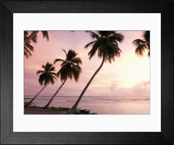 Framed Print : Tropical sunset, Bridgetown, Barbados, West Indies, Caribbean, Central America Framed Print : Tropical sunset, Bridgetown, Barbados, West Indies, Caribbean, Central America