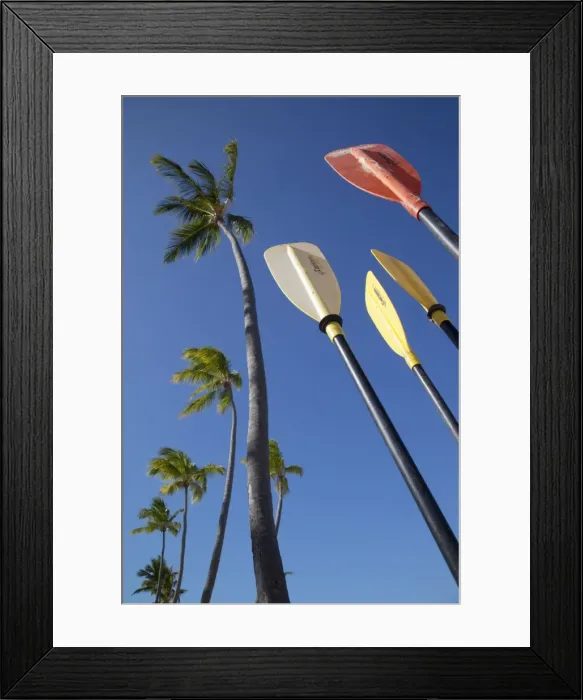 Framed Print : Palms and paddles, Bavaro Beach, Punta Cana, Dominican Republic, West Indies Framed Print : Palms and paddles, Bavaro Beach, Punta Cana, Dominican Republic, West Indies