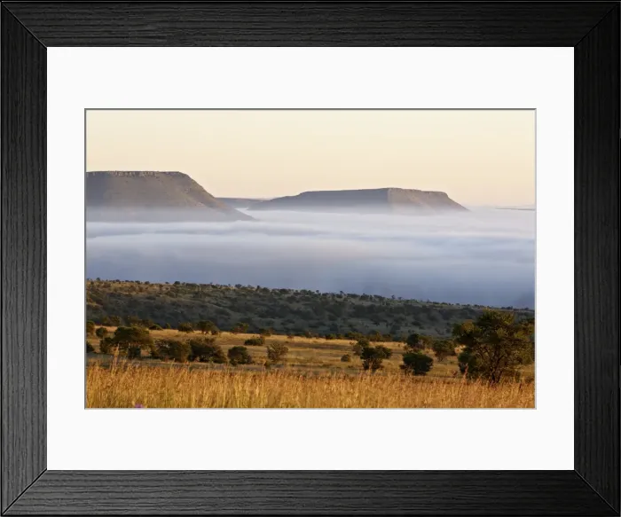 Framed Print : Cloud layer at dawn, Mountain Zebra National Park, South Africa, Africa Framed Print : Cloud layer at dawn, Mountain Zebra National Park, South Africa, Africa
