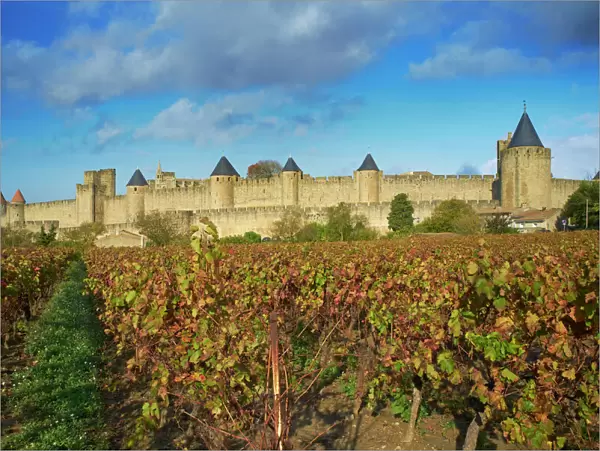 Medieval city of Carcassonne, UNESCO World Heritage Site, Aude, Languedoc-Roussillon