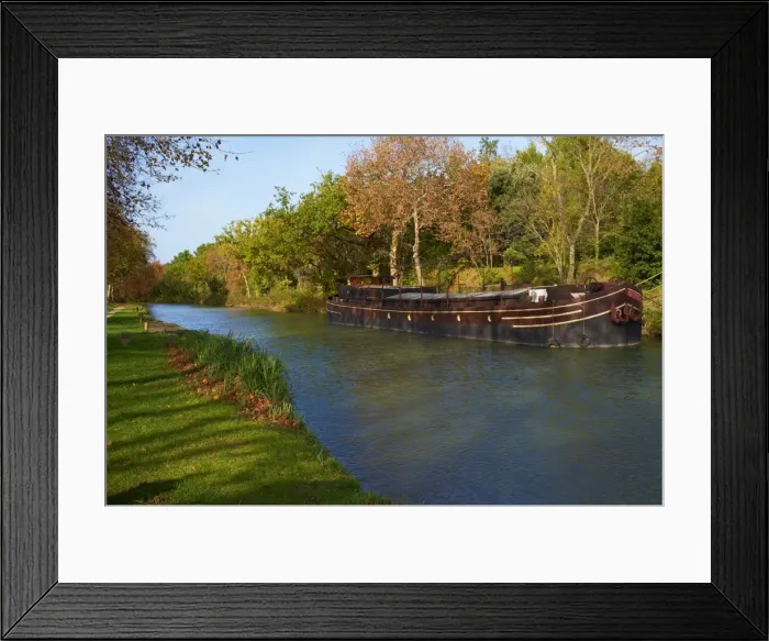 Framed Print : Yellow and red leaves in autumn along the Canal du Midi, UNESCO World Heritage Site Framed Print : Yellow and red leaves in autumn along the Canal du Midi, UNESCO World Heritage Site