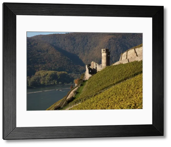 Framed Print : Ehrenfels Castle near Rudesheim, Rhine Valley, Hesse, Germany, Europe Framed Print : Ehrenfels Castle near Rudesheim, Rhine Valley, Hesse, Germany, Europe