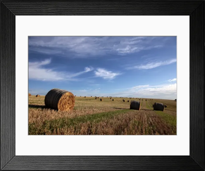 Framed Print : Harvested cornfield, Saargau near Kirf, Rhineland-Palatinate, Germany, Europe Framed Print : Harvested cornfield, Saargau near Kirf, Rhineland-Palatinate, Germany, Europe
