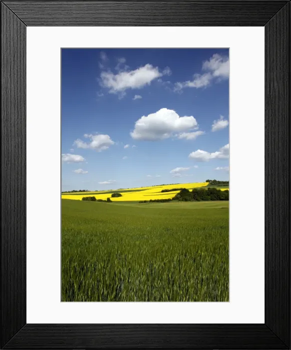 Framed Print : Agricultural landscape at Saargau near Kirf, Rhineland-Palatinate, Germany, Europe Framed Print : Agricultural landscape at Saargau near Kirf, Rhineland-Palatinate, Germany, Europe