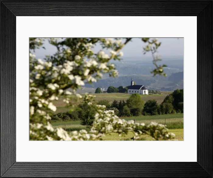 Framed Print : Spring landscape with little church near Nittel, Mosel-Valley, Rhineland-Palatinate Framed Print : Spring landscape with little church near Nittel, Mosel-Valley, Rhineland-Palatinate