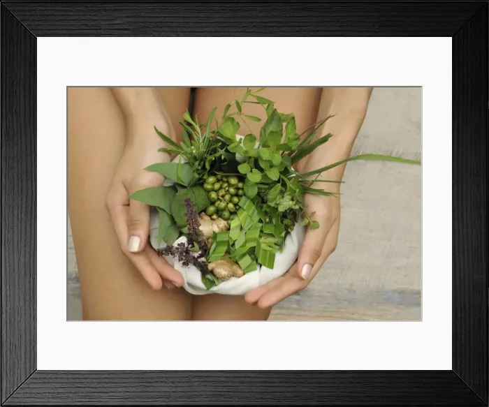 Framed Print : Ingredients of herbal compresses including camphor, basil and lemongrass Framed Print : Ingredients of herbal compresses including camphor, basil and lemongrass