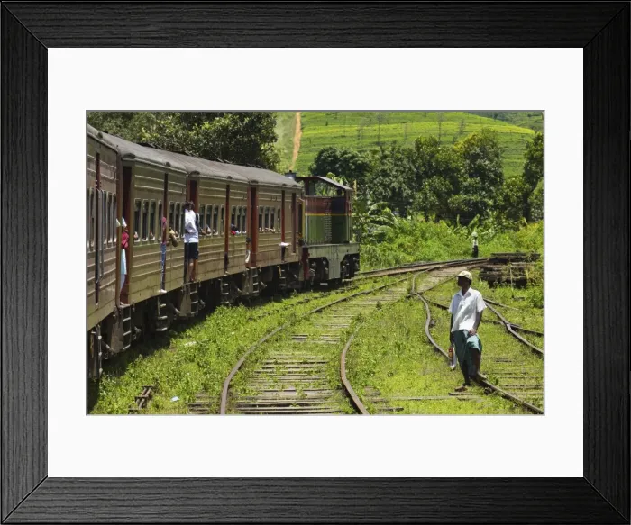 Framed Print : The popular scenic train ride through the tea growing hill country, here between Hatton Framed Print : The popular scenic train ride through the tea growing hill country, here between Hatton