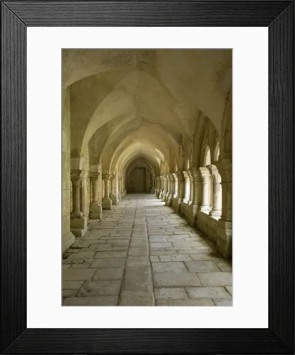 Framed Print : Cloisters, Fontenay Abbey, UNESCO World Heritage Site, Burgundy, France, Europe Framed Print : Cloisters, Fontenay Abbey, UNESCO World Heritage Site, Burgundy, France, Europe