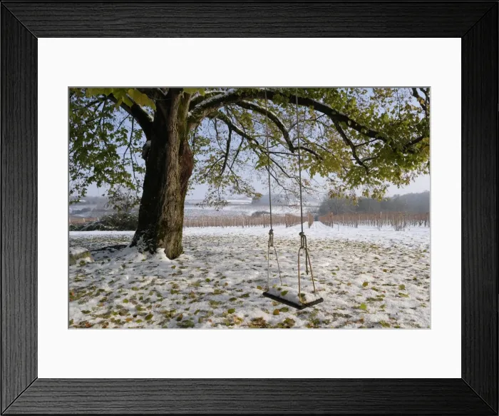 Framed Print : Swing in autumn snow, Charente, France, Europe Framed Print : Swing in autumn snow, Charente, France, Europe