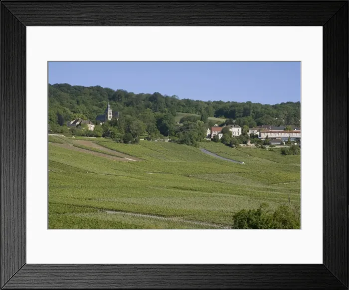 Framed Print : Champagne vineyards, Hautvillers, Marne valley, France, Europe Framed Print : Champagne vineyards, Hautvillers, Marne valley, France, Europe