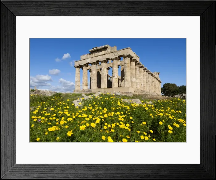 Framed Print : Selinus Greek Temple in spring, Selinunte, Sicily, Italy, Europe Framed Print : Selinus Greek Temple in spring, Selinunte, Sicily, Italy, Europe