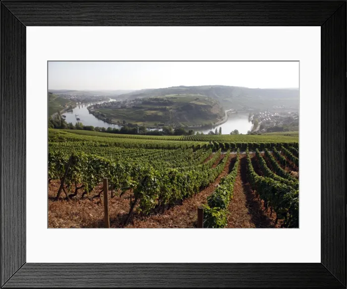 Framed Print : River Mosel and vineyards near Grevenmacher, Mosel Valley, Luxembourg, Europe Framed Print : River Mosel and vineyards near Grevenmacher, Mosel Valley, Luxembourg, Europe