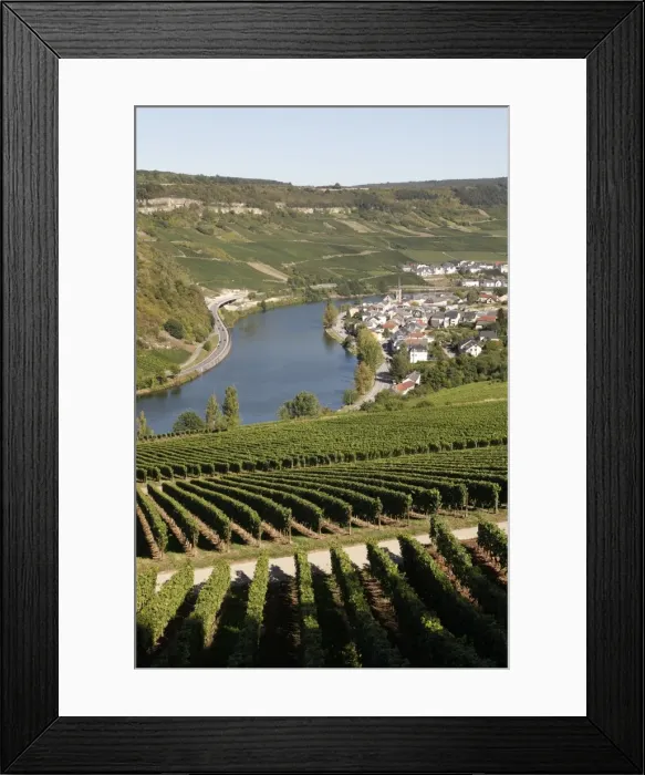 Framed Print : Vineyards and village of Machtum, Mosel Valley, Luxembourg, Europe Framed Print : Vineyards and village of Machtum, Mosel Valley, Luxembourg, Europe