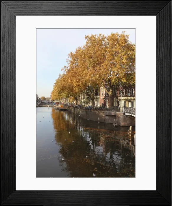 Framed Print : Autumnal leaves reflect in the water of a canal in central Utrecht, Utrecht Province Framed Print : Autumnal leaves reflect in the water of a canal in central Utrecht, Utrecht Province