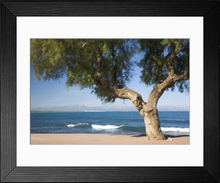 Framed Print : View across the Bay of Alcudia from seafront promenade, Colonia de Sant Pere Framed Print : View across the Bay of Alcudia from seafront promenade, Colonia de Sant Pere