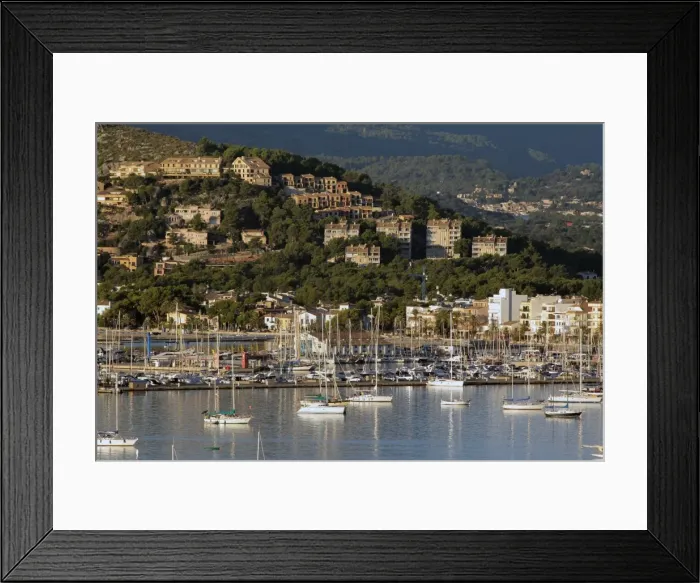 Framed Print : Port de Pollenca, Mallorca, Balearic Islands, Spain, Mediterranean, Europe Framed Print : Port de Pollenca, Mallorca, Balearic Islands, Spain, Mediterranean, Europe