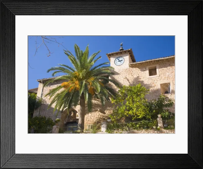 Framed Print : Palm and church belltower overlooking the village square, Fornalutx, near Soller Framed Print : Palm and church belltower overlooking the village square, Fornalutx, near Soller