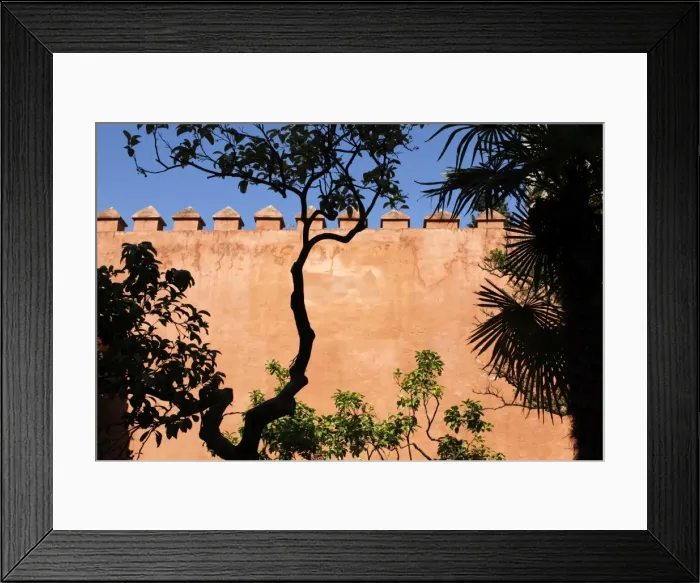 Framed Print : Garden of the Chorron, Real Alcazar, Seville, Andalucia, Spain, Europe Framed Print : Garden of the Chorron, Real Alcazar, Seville, Andalucia, Spain, Europe