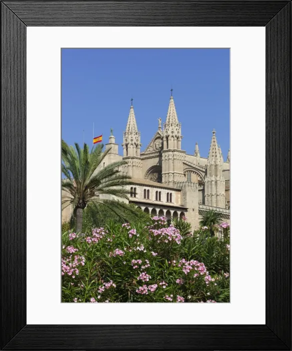 Framed Print : Palma Cathedral (La Seu), Palma de Mallorca, Mallorca (Majorca), Balearic Islands Framed Print : Palma Cathedral (La Seu), Palma de Mallorca, Mallorca (Majorca), Balearic Islands