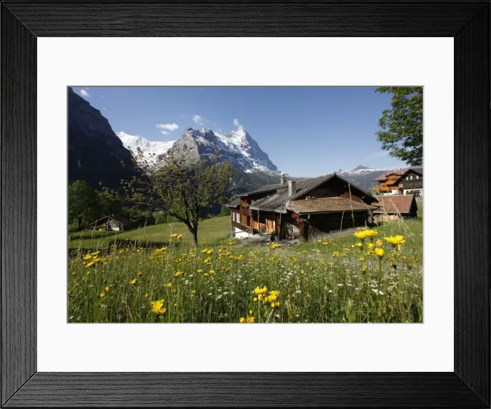 Framed Print : View from Grindelwald to Eiger, Bernese Oberland, Swiss Alps, Switzerland, Europe Framed Print : View from Grindelwald to Eiger, Bernese Oberland, Swiss Alps, Switzerland, Europe