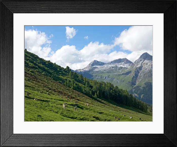 Framed Print : The road to Splugen Pass, Canton Graubunden, Swiss Alps, Switzerland, Europe Framed Print : The road to Splugen Pass, Canton Graubunden, Swiss Alps, Switzerland, Europe