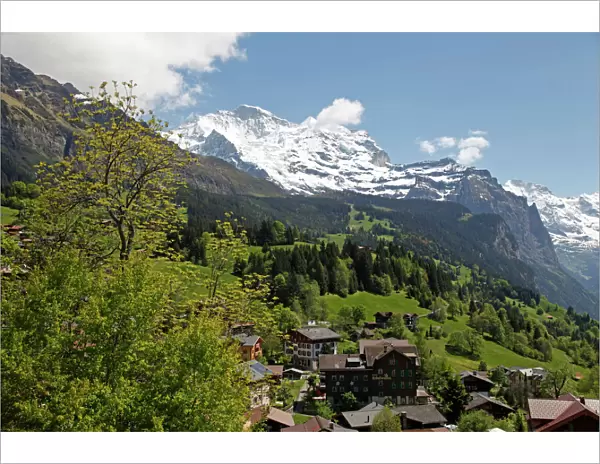 Wengen and Jungfrau, Bernese Alps, Bernese Oberland, Swiss Alps, Switzerland, Europe