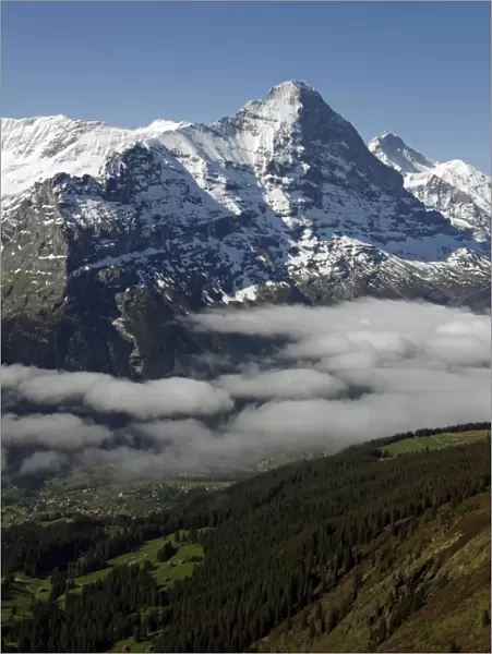 View from Grindelwald-First to Bernese Alps with Eiger, Bernese Oberland