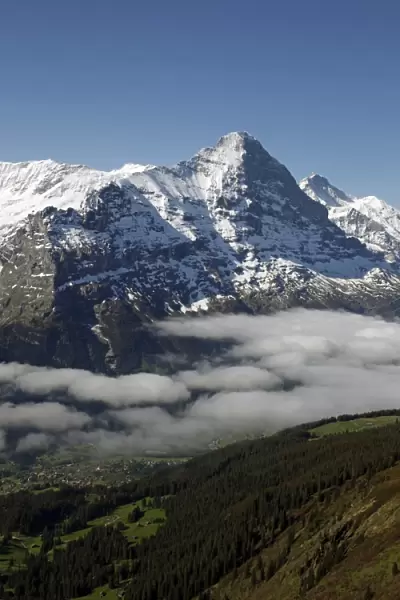 View from Grindelwald-First to Bernese Alps with Eiger, Bernese Oberland
