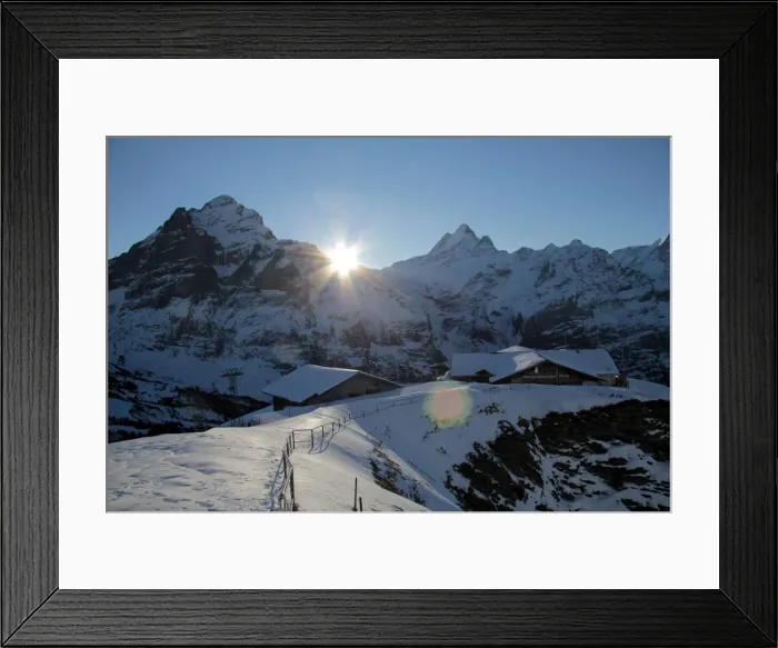 Framed Print : Sunrise on the Wetterhorn, seen from First, Grindelwald, Bernese Oberland Framed Print : Sunrise on the Wetterhorn, seen from First, Grindelwald, Bernese Oberland