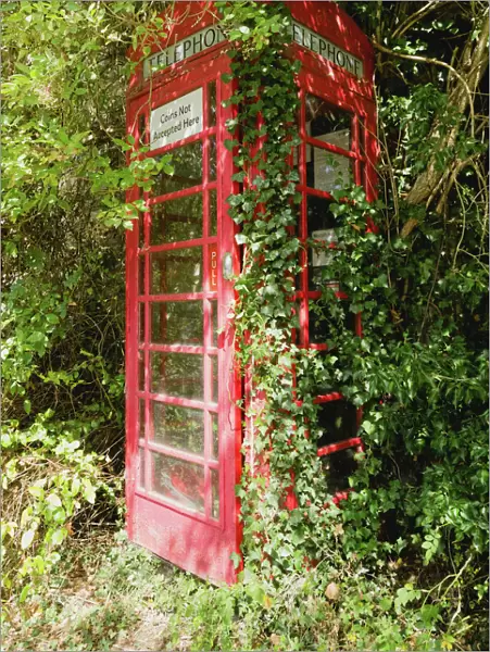 Overgrown telephone box, England, United Kingdom, Europe