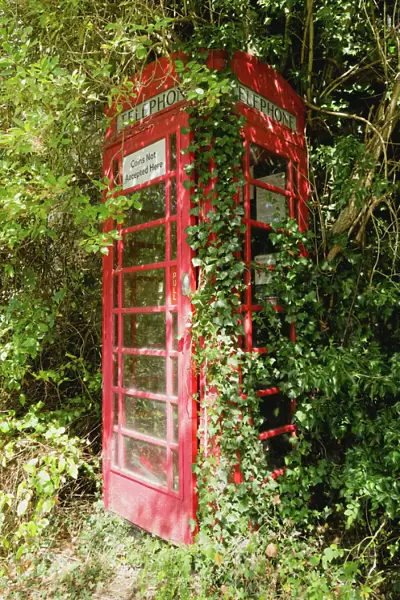 Overgrown telephone box, England, United Kingdom, Europe
