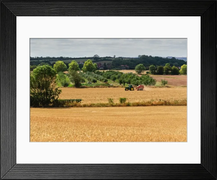 Framed Print : View across a harvested landscape, Warwickshire, England, United Kingdom, Europe Framed Print : View across a harvested landscape, Warwickshire, England, United Kingdom, Europe