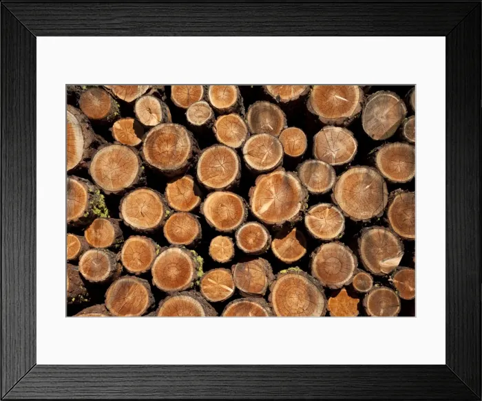 Framed Print : Log pile, Val d Herens, Valais, Switzerland, Europe Framed Print : Log pile, Val d Herens, Valais, Switzerland, Europe