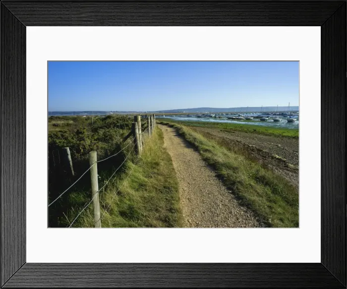 Framed Print : Salt marsh and the Hampshire coast, Hurst Spit, Keyhaven, Hampshire, England Framed Print : Salt marsh and the Hampshire coast, Hurst Spit, Keyhaven, Hampshire, England