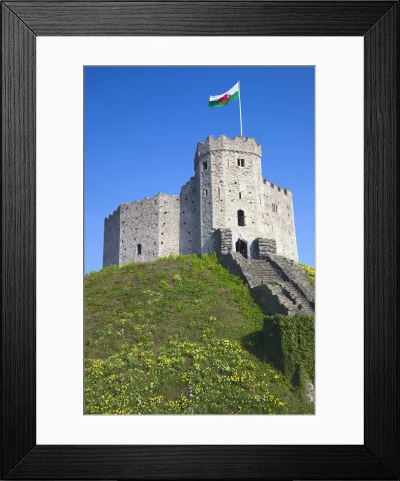 Framed Print : Norman Keep, Cardiff Castle, Cardiff, South Wales, Wales, United Kingdom, Europe Framed Print : Norman Keep, Cardiff Castle, Cardiff, South Wales, Wales, United Kingdom, Europe