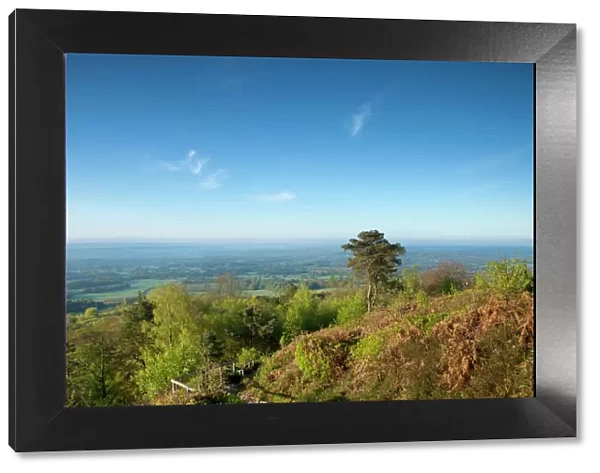Leith Hill, highest point in south east England, view south towards The South Downs on a spring morning, Surrey Hills, Greensand Way, Surrey, England, United