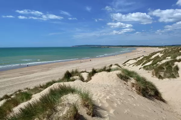 Camber Sands and sand dunes, Camber, East Sussex, England, United Kingdom, Europe
