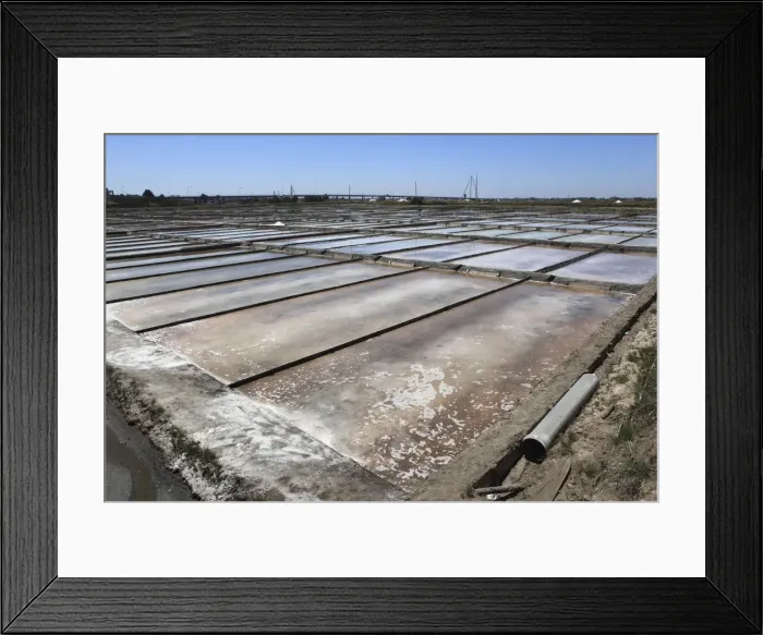 Framed Print : Salt is produced by evaporation under the sun in the salt pans of Aveiro Framed Print : Salt is produced by evaporation under the sun in the salt pans of Aveiro