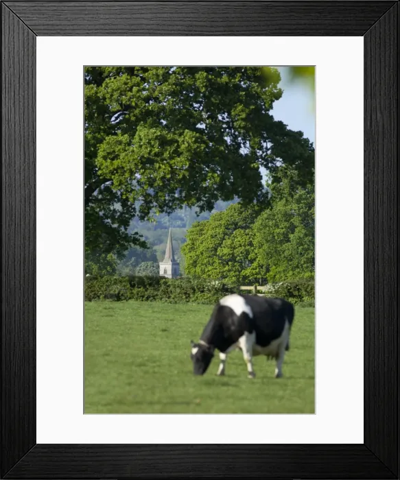 Framed Print : Brockham church spire across fields, Surrey Hills, Surrey, England, United Kingdom Framed Print : Brockham church spire across fields, Surrey Hills, Surrey, England, United Kingdom
